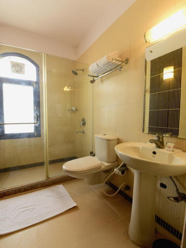 Bathroom 3, Sandhya Hot Spring Health Care, Mandi