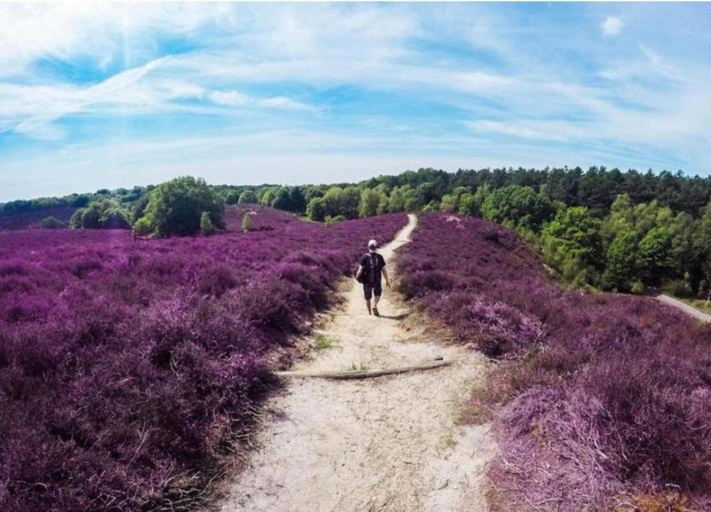 View from property 3, Bungalow in Veluwe With Sauna & Nature Views, Putten
