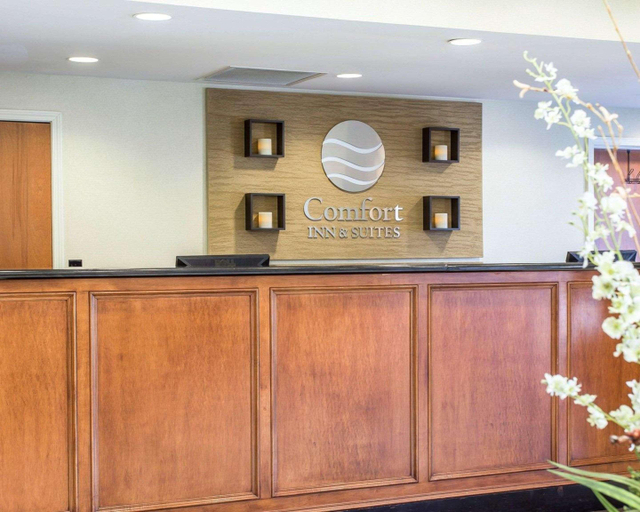 Public Area 2, Comfort Inn & Suites Orangeburg, Orangeburg