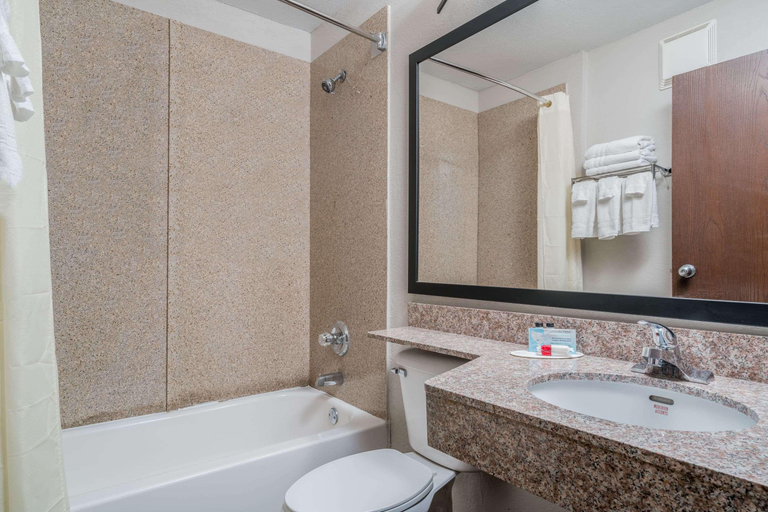 Bathroom 4, Microtel Inn & Suites By Wyndham Rochester Mayo C, Olmsted