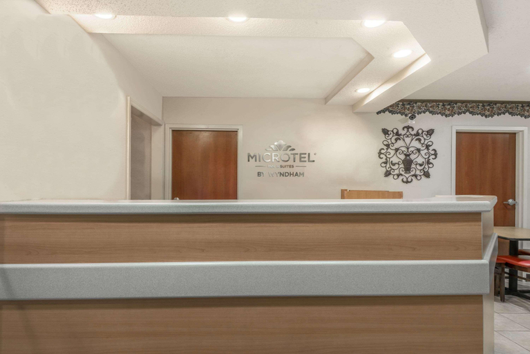 Public Area 2, Microtel Inn & Suites by Wyndham Auburn, Lee