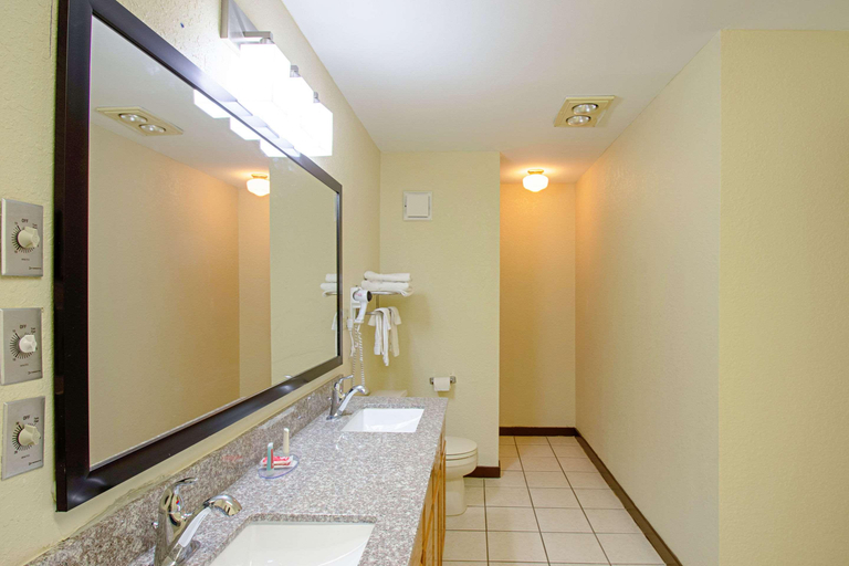 Bathroom 4, Econo Lodge Inn Suites, Sauk