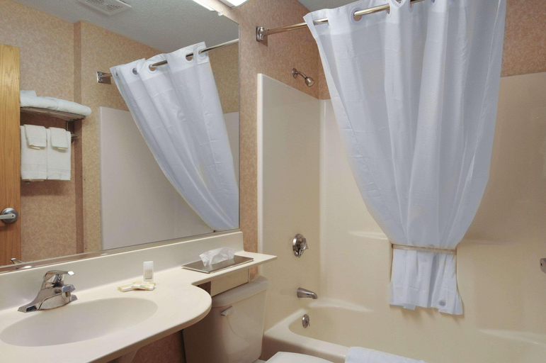 Bathroom, Microtel Inn & Suites By Wyndham Baldwinsville/Sy, Onondaga