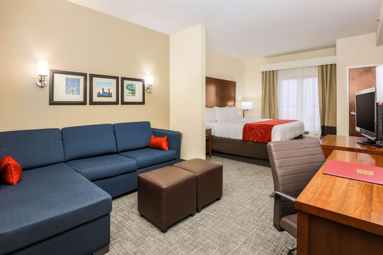 Public Area 2, Comfort Suites DFW North/Grapevine, Tarrant