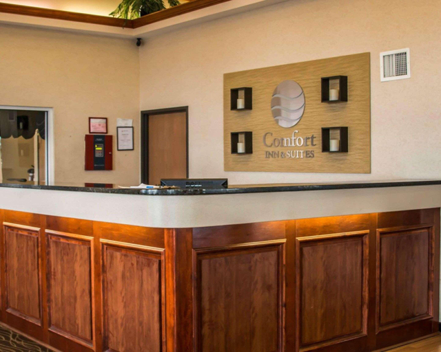 Public Area 2, Comfort Inn & Suites Diamondale – Lansing, Eaton
