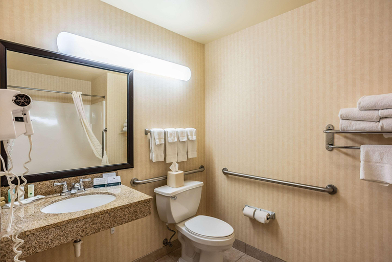Bathroom 4, Quality Inn & Suites Mississippi River, Marion