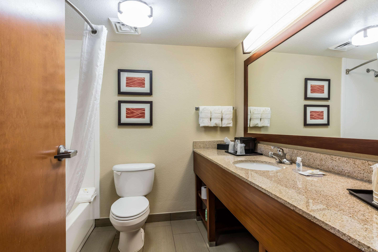 Bathroom 4, Comfort Inn & Suites Airport - American Way, Shelby