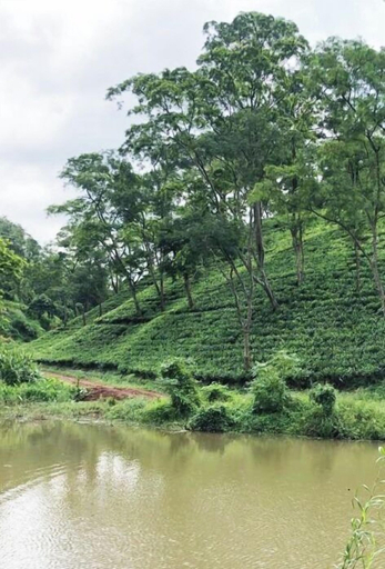 Others 4, Amchong Park And resorts, Kamrup Metropolitan