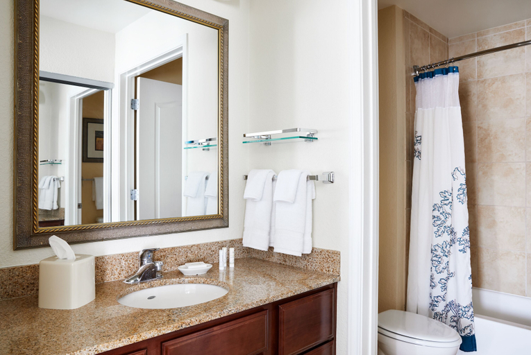 Bathroom 5, Residence Inn Norfolk Downtown, Norfolk