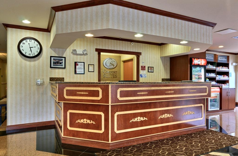 Public Area 2, Comfort Suites Canton - Detroit, Wayne