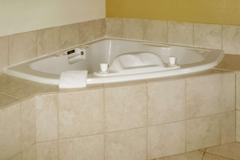 Bathroom, Quality Inn & Suites Florence, Boone