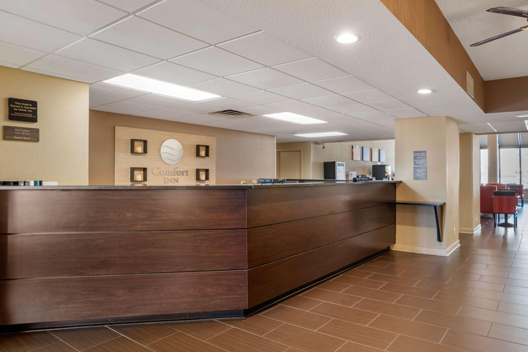 Public Area 2, Comfort Inn Pearl-Jackson, Rankin