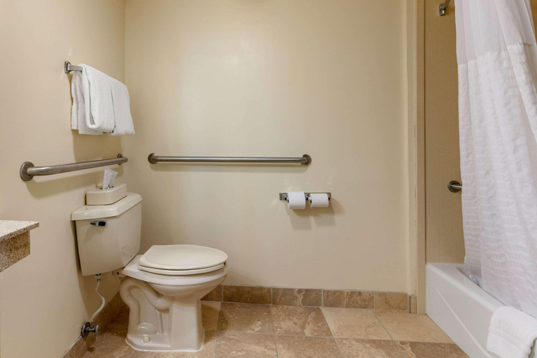 Bathroom 4, Comfort Inn Downtown, Hamilton