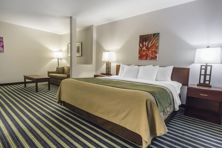 Bedroom 3, Comfort Inn & Suites, Division No. 7