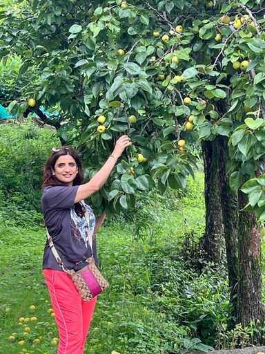Others 4, Bougain Villa Cottage, Nainital