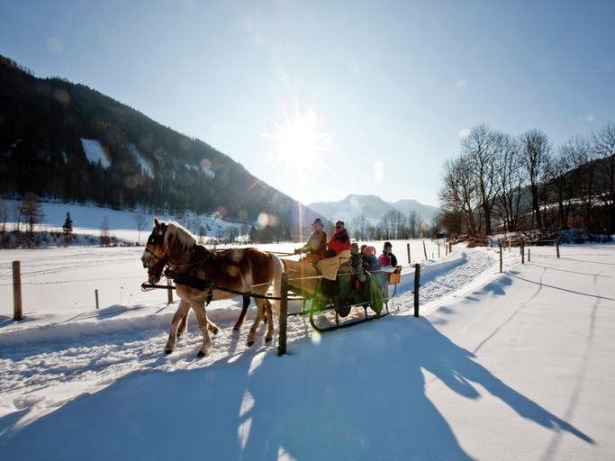 Others 4, Attractive chalet with whirlpool, Murau