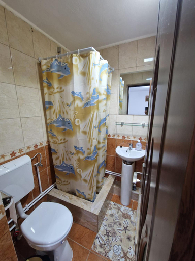 Bathroom 4, Cabana Poiana Dealul Frumos, Garda De Sus