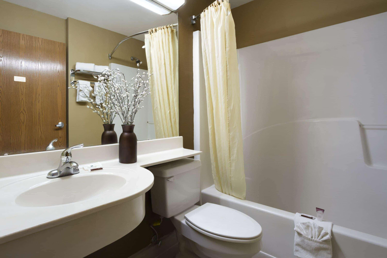 Bathroom, Microtel Inn & Suites By Wyndham Lithonia/Stone M, DeKalb