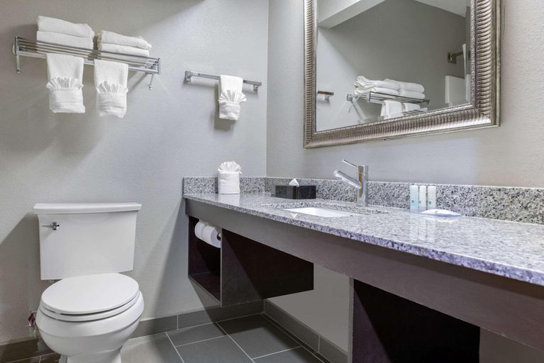 Bathroom 4, Quality Inn & Suites Brownsburg -Indianapolis West, Hendricks