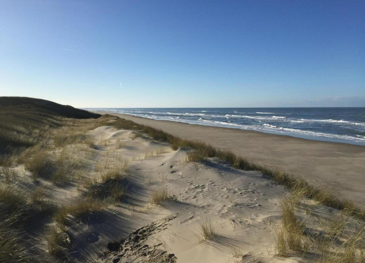 View from property 3, Restyled Single Storey Bungalow, Near the Sea on Texel, Texel