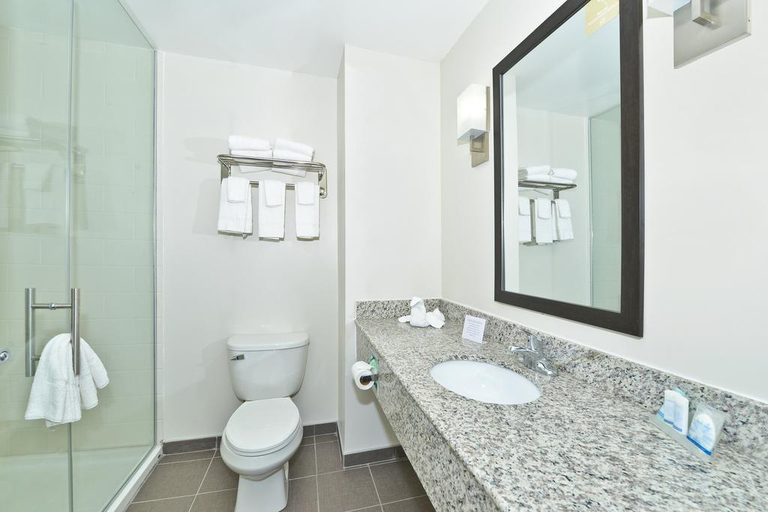 Bathroom 5, Sleep Inn & Suites Harrisburg - Hershey North, Dauphin