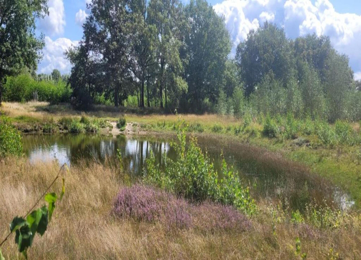 View from property 3, Wellness Home in Brabant With Private Spa, Uden