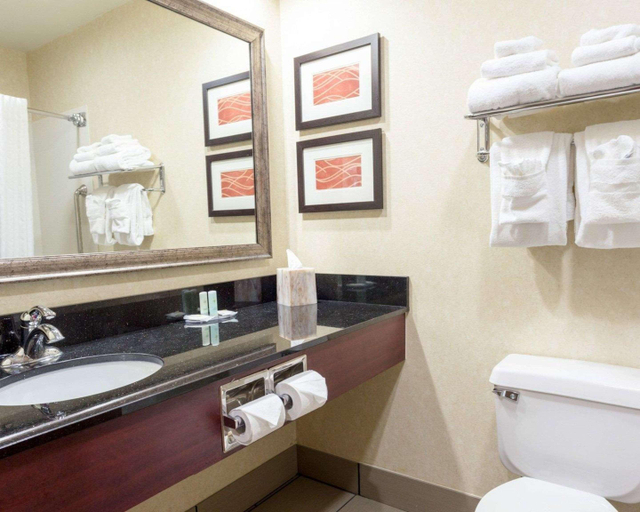 Bathroom 4, Comfort Inn Augusta, Kennebec