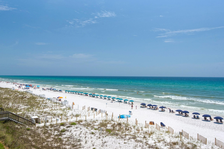 Others 5, Blue Turtle Dreams, Okaloosa