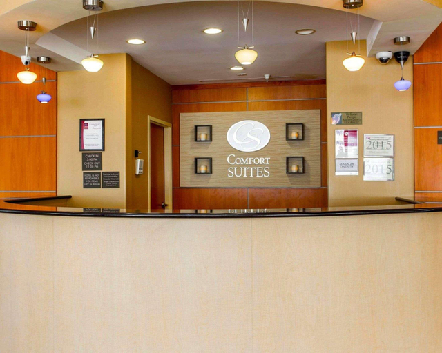 Public Area 4, Comfort Suites South Atlanta Area, Clayton