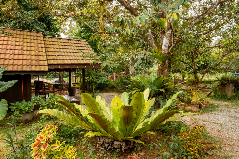 Others 4, Gunungan Kampung Stay, Kota Tinggi