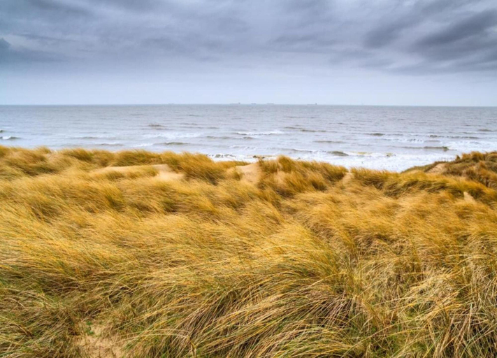 View from property 4, Modern Chalet With Dishwasher Near the Beach, Den Haag