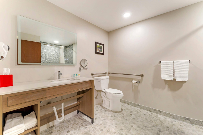 Bathroom 4, Comfort Suites Monroeville - Pittsburgh East, Allegheny