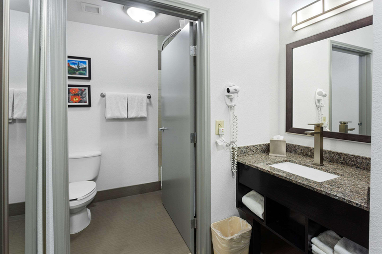 Bathroom 5, Comfort Inn Chandler - Phoenix South I-10, Maricopa