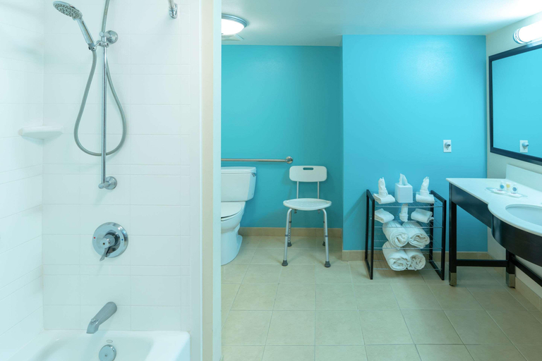 Bathroom 4, Comfort Suites Lake City, Columbia