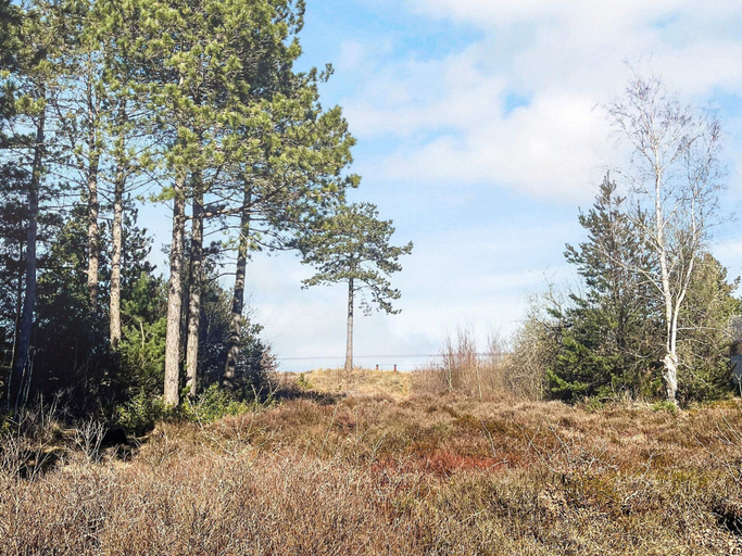 Others 5, 4 Person Holiday Home in Romo-by Traum, Tønder