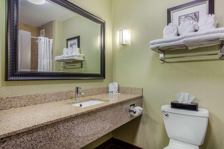 Bathroom 4, Comfort Suites Jackson I-40, Madison