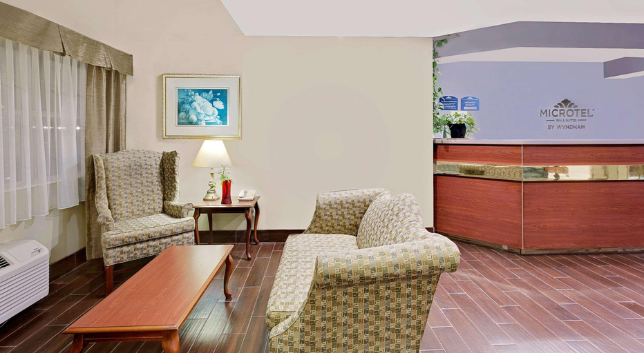 Public Area 3, Microtel Inn & Suites by Wyndham Thomasville/High Point/Lexi, Davidson