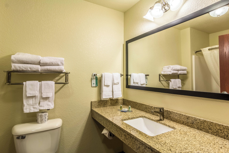 Bathroom 4, Cobblestone Hotel & Suites - Erie, Erie