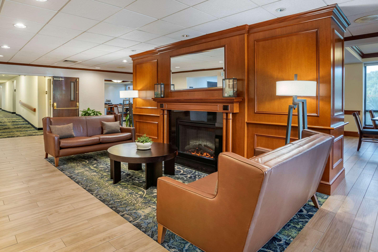 Public Area 2, Comfort Inn & Suites Newark - Wilmington, New Castle