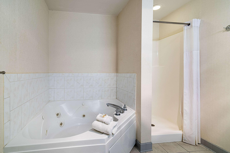 Bathroom 5, Quality Inn & Suites Schoharie Near Howe Caverns, Schoharie