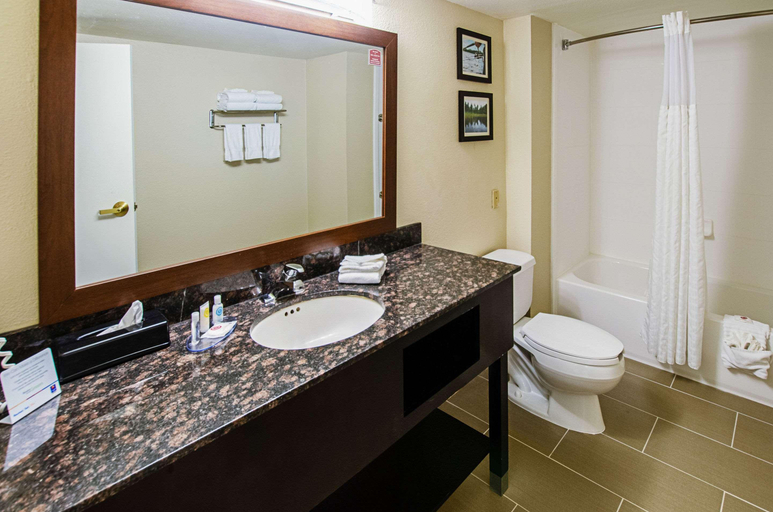 Bathroom 4, Comfort Inn & Suites Santee I-95, Orangeburg