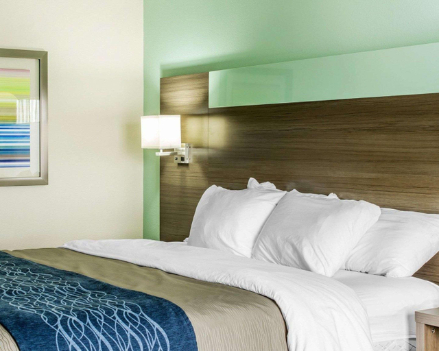 Bedroom 3, Comfort Inn Dunn near I-95, Harnett
