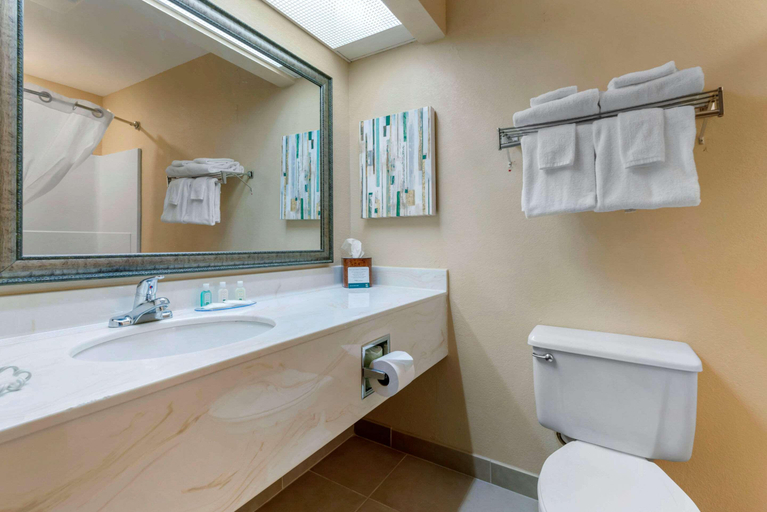 Bathroom 5, Quality Inn St. Cloud West, Stearns
