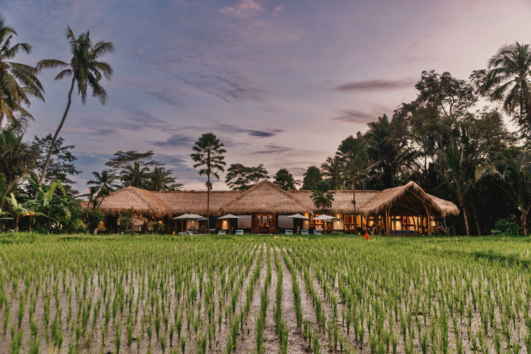 Exterior & Views 2, Villa Jepun, Gianyar