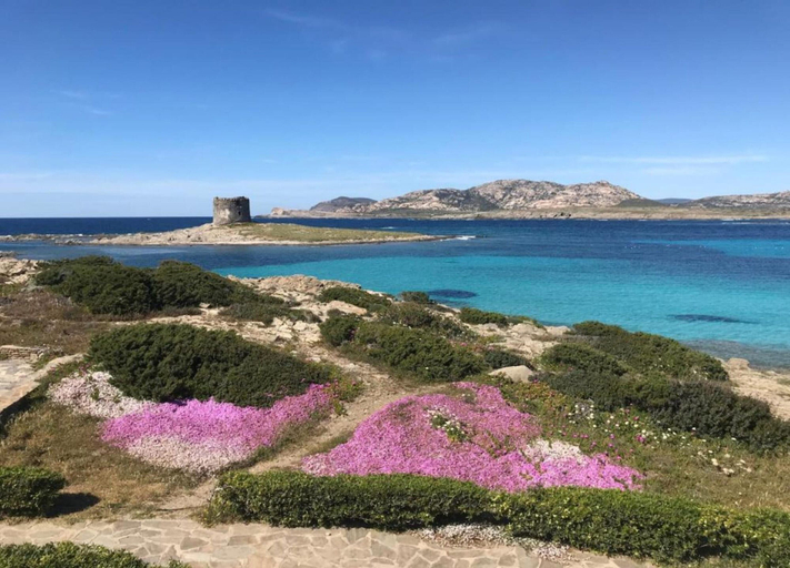 View from property 2, Holiday Home in Stintino Near Iconic Beaches, Sassari