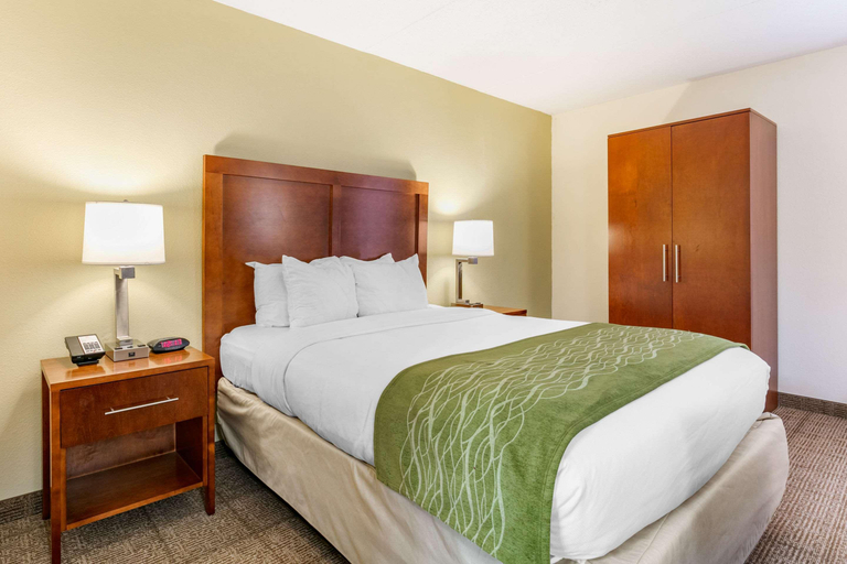 Bedroom 3, Comfort Inn Downtown, Hamilton