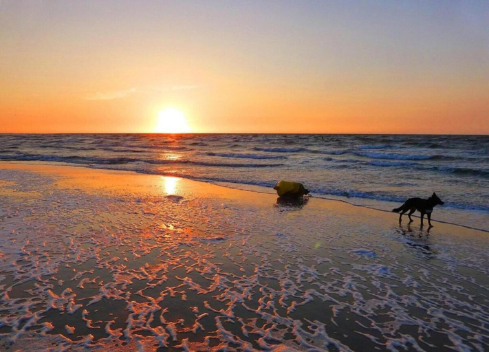 View from property 4, Beachfront Escape w/ Pets, Noord-Beveland