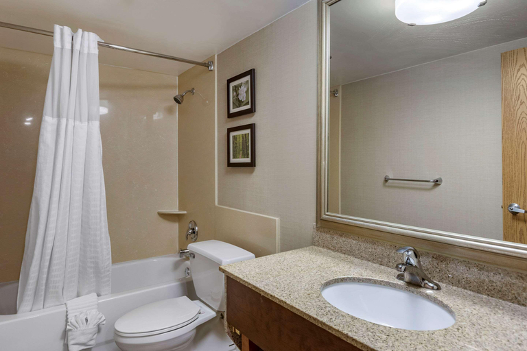 Bathroom 4, Comfort Inn Lansing West, Eaton