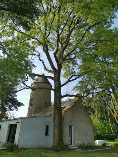Others 2, Le moulin de La Retardiere, Loire-Atlantique