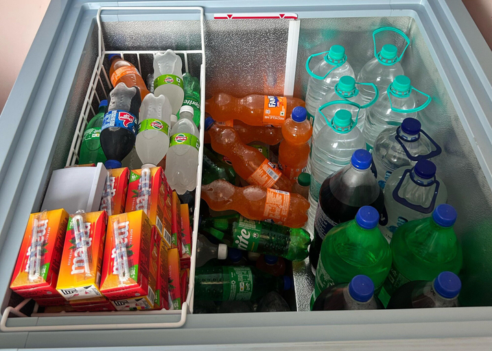 Food & Drinks, Anirudhha Home Stay, Ujjain